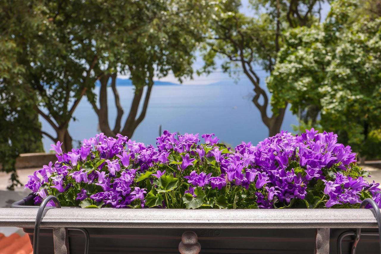 Ribica Luxury Rooms Rijeka Eksteriør bilde